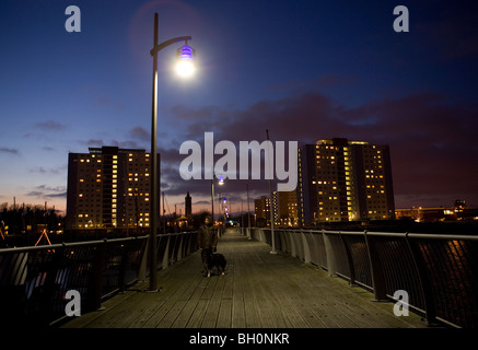 Propriétaire et chien marcher la nuit seule des femmes adultes et des border collie Gopsort Banque D'Images