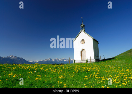 Chapelle en prairie avec le pissenlit, l'Allgaeu, Bavaria, Germany Banque D'Images