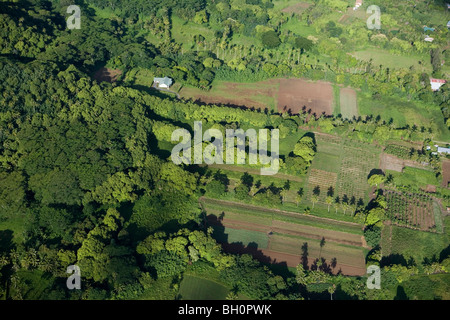 Vue aérienne du paysage verdoyant de l'île, Rarotonga, îles Cook, du Pacifique Sud, l'Océanie Banque D'Images