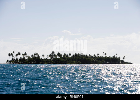 Motu île avec palmiers à Raiatea Lagon, Raiatea, Iles de la société, Polynésie Française, Océanie, Pacifique Sud Banque D'Images