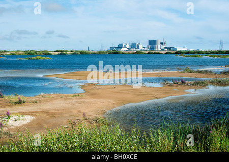 La réserve RSPB dormeur, Kent, Angleterre. Banque D'Images