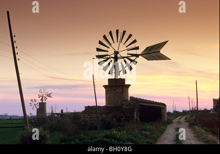 L'Europe, Espagne, Majorque, près de Sant Jordi, moulin Banque D'Images