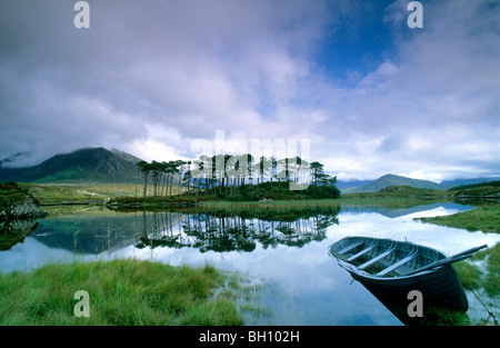 L'Europe, la Grande-Bretagne, l'Irlande, Galway, le Connemara, Co. Lac Ballynahinch Banque D'Images