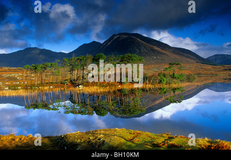 Lac Ballynahinch et de réflexion, le Connemara, dans le comté de Galway, Irlande, Europe Banque D'Images