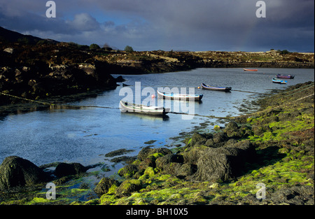 Paysage près de Carna à marée basse, du Connemara, dans le comté de Galway, Irlande, Europe Banque D'Images