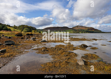 Les rives du Loch Fleet National Nature Reserve et le Cambusavie Hills près de Golspie, Sutherland, Scotland, UK. Banque D'Images