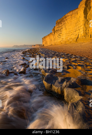 Soleil d'hiver et de la marée basse à Burton Bradstock soulignant les falaises de grès doré et corniches rocheuses Banque D'Images