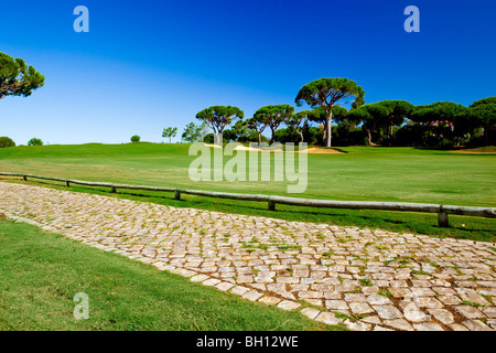 Paysage magnifique photo d'un court de golf des Pins Banque D'Images