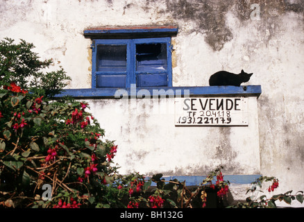 Maison à vendre à l'abandon avec chat noir sur le balcon - Galice - Espagne Banque D'Images