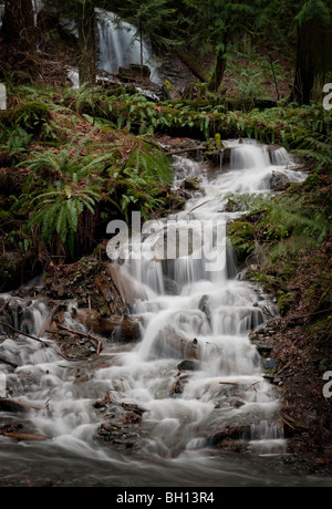 Suite Nuptiale Creek fait son chemin à Cheam Lake Parc régional en Colombie-Britannique, Canada. Alimenté à partir de Bridal Falls dans le parc à proximité. Banque D'Images