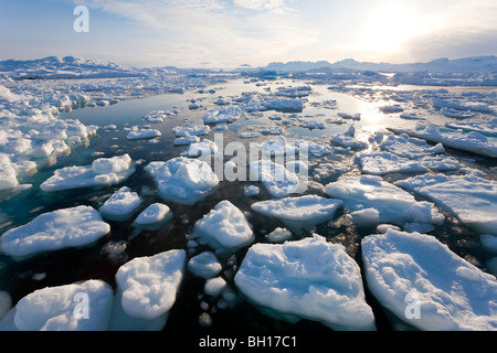 Tiniteqilaq et glace de mer dans le fjord, E. Banque D'Images