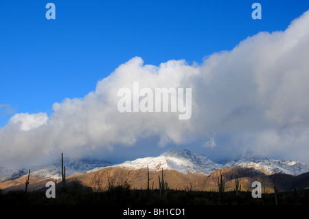 La neige recouvre les montagnes Santa Catalina dans la forêt nationale de Coronado dans le désert de Sonora, Tucson, Arizona, USA. Banque D'Images