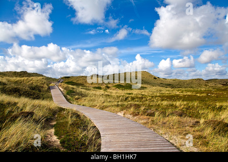 Promenade dans les dunes près de Kampen, l'île de Sylt, Schleswig-Holstein, Allemagne Banque D'Images