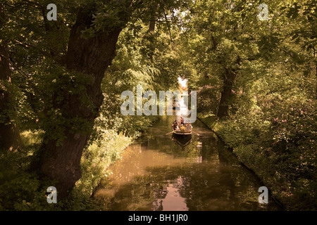 Barques sur un canal dans la forêt, Parc, Woerlitz Woerlitz, Saxe-Anhalt, Allemagne, Europe Banque D'Images