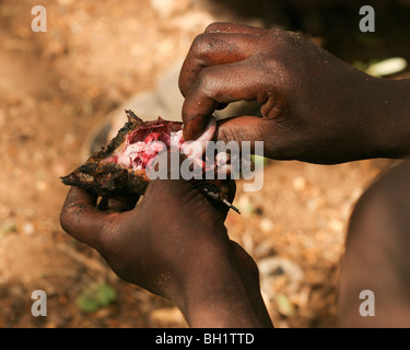 Du sud, la Tanzanie, le lac Eyasi, portrait d'un jeune mâle Hadza de manger. Une petite tribu de chasseurs-cueilleurs Hadzabe Tribu AKA Banque D'Images