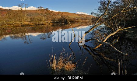 Inondé d'aulnes le long de la rivière Lochay avec l'Tarmachan-Ben gamme Lawers près de Killin, Perthshire, Écosse, Banque D'Images