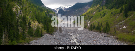 Vallée glaciaire, Mt. Rainier National Park, vue panoramique Banque D'Images