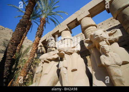 Louxor, Egypte. Un faible angle de vue du sphinx à tête de bélier dans l'enceinte d'Amon à Karnak Temple. L'année 2009. Banque D'Images