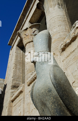 Edfou, EGYPTE. Une statue d'Horus dans le Temple d'Horus, avec la salle hypostyle derrière. Banque D'Images