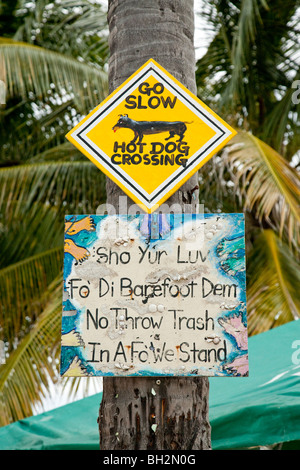 Caye Caulker, Belize Cayes du Nord,. Banque D'Images