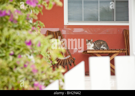 Caye Caulker, Belize Cayes du Nord,. Banque D'Images