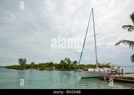 Caye Caulker, Belize Cayes du Nord,. Banque D'Images