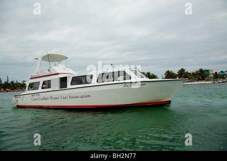 Caye Caulker, Belize Cayes du Nord,. Banque D'Images