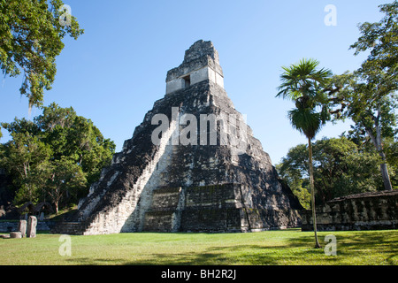 Je Temple, Temple du Grand Jaguar construction au site archéologique de Tikal. Le Guatemala. Banque D'Images