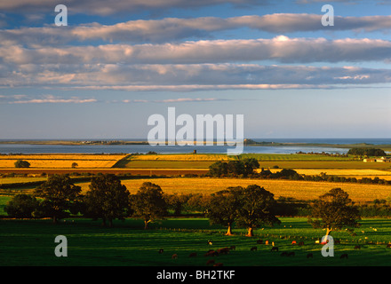 Une soirée de Lindisfarne vue comme vu à partir de la terre ferme près de Belford, Northumberland Banque D'Images