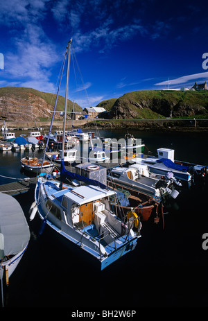 Vue en été d'Portknockie port près de Buckie sur le Moray Firth en Ecosse Banque D'Images