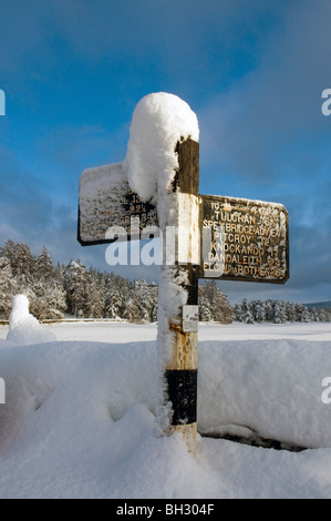 Recouvert de neige ancienne route signpost, Grantown on Spey, highlands, Scotland Banque D'Images