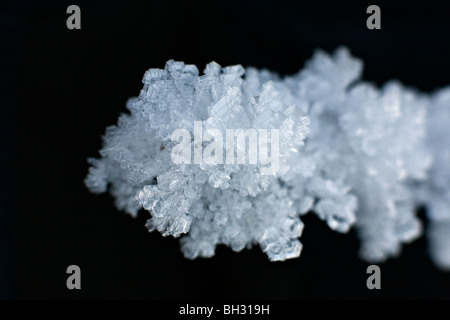 Gros plan sur des cristaux de glace Banque D'Images
