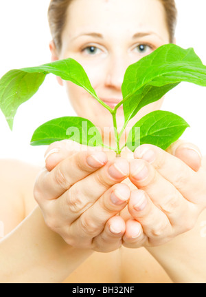 Femme avec les jeunes feuilles Banque D'Images