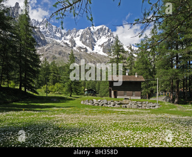 Pré alpin plein de fleurs Daisy et chalet en bois avec des pointes de grandes Jorasse vu d'Entreves Courmayeur Italie Banque D'Images