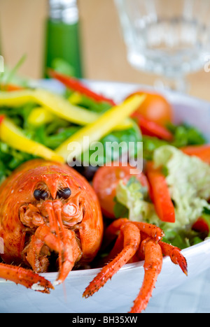 Salade de homard Banque D'Images