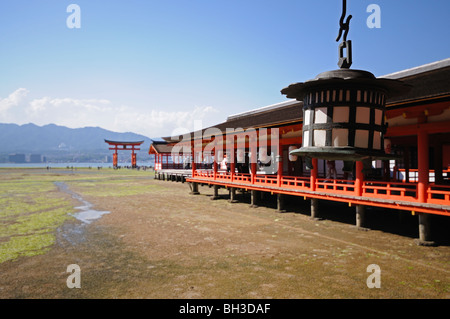 Otorii et sanctuaire d'Itsukushima, à marée basse. Miyajima Itsukushima (île). La Préfecture d'Hiroshima. Le Japon Banque D'Images