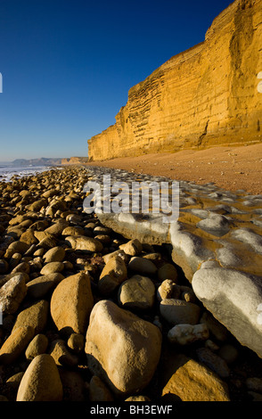 Soleil d'hiver et de la marée basse à Burton Bradstock soulignant les falaises de grès doré et corniches rocheuses Banque D'Images