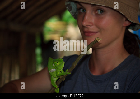 Caméléons Kouma Konda Afrique Togo Reptiles lézards Banque D'Images