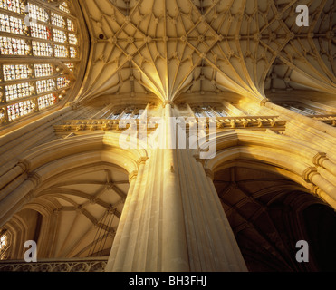 La cathédrale de Winchester, Hampshire, Angleterre. Voltige à l'extrémité ouest de la nef gothique anglais du xive siècle. Banque D'Images