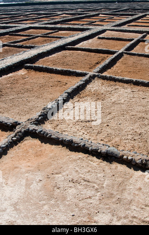 Casseroles pan sel sel saltpan évaporation de l'eau de mer de quitter le sel Le sel de roche de séchage sec fuerteventura canaries Banque D'Images