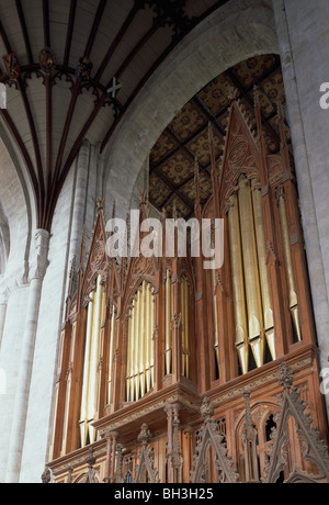 La cathédrale de Winchester l'orgue dans l'quire, conçu en 1825 par Edward Blore, avec parties de Heny Willis organ Banque D'Images