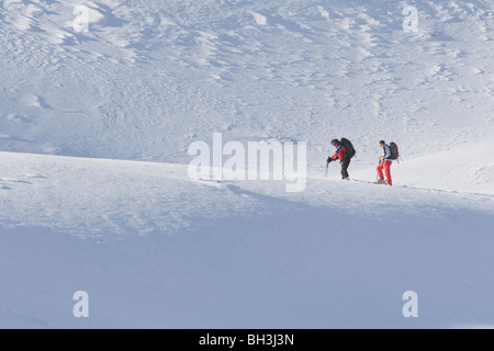 Deux hommes de l'équipe de secours en montagne sur l'exercice de formation sur les avalanches, le Tyrol du Sud, les Alpes italiennes Banque D'Images
