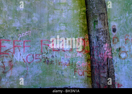 Un ancien silo à grains, déserte est la cible de graffitis adolescents mais est en cours de récupération par la nature comme un arbre atteint pour le ciel au-dessus Banque D'Images