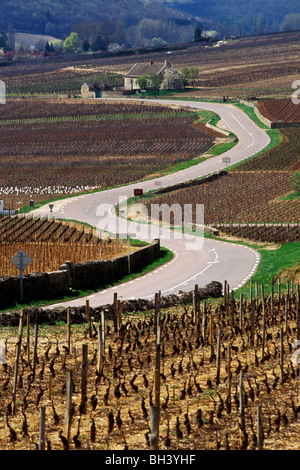 La ROUTE DU VIN, VIGNOBLES DE MONTHELIE, CÔTE D'OR (21), FRANCE Banque D'Images