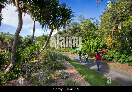 Fairchild Tropical Botanic Garden, en Floride Banque D'Images