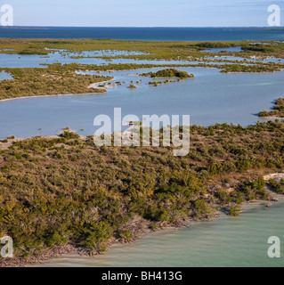 Le Parc National des Everglades est un parc national en Floride. C'est le plus grand désert subtropical dans les États-Unis. Banque D'Images