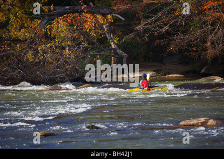 La pêche à la mouche Pêche en rivière AUTOMNE COULEUR D'AUTOMNE ET LES FEUILLES DES ARBRES Banque D'Images