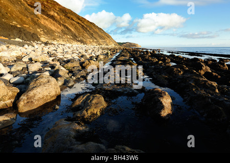 Osmington ledges, Weymouth, Dorset, uk Banque D'Images