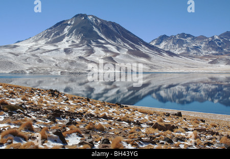 Laguna Miscanti Chili Banque D'Images