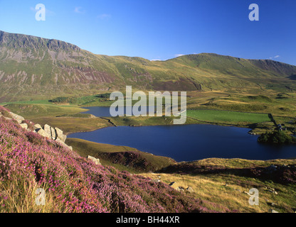 Cregennen Cregennen Llynnau Vue sud des lacs de Bryn Brith Parc national Snowdonia Gwynedd Mid Wales UK Banque D'Images